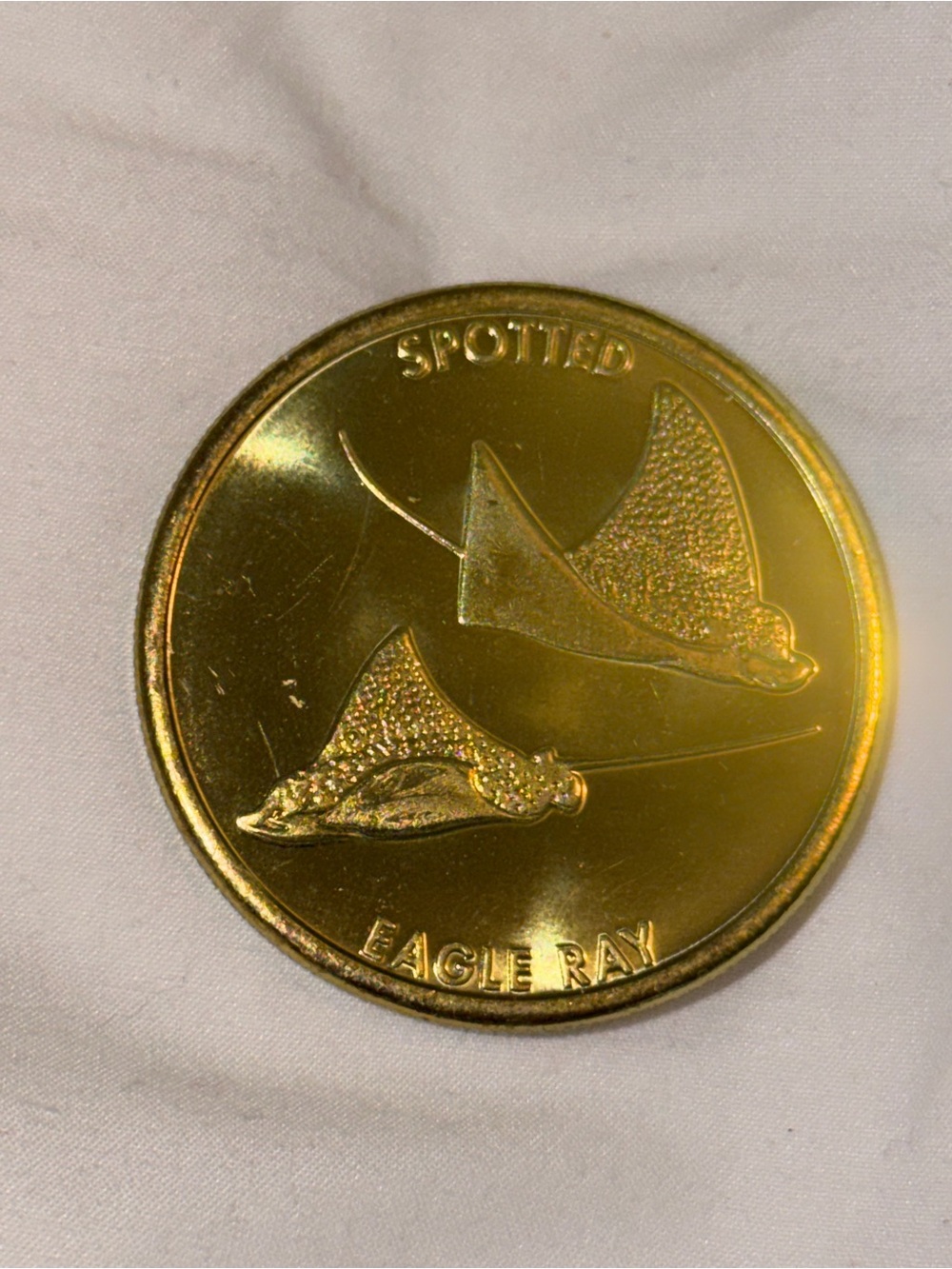Mote Marine Laboratory Spotted Eagle Ray Collectible Brand New As Is MM Labs MML